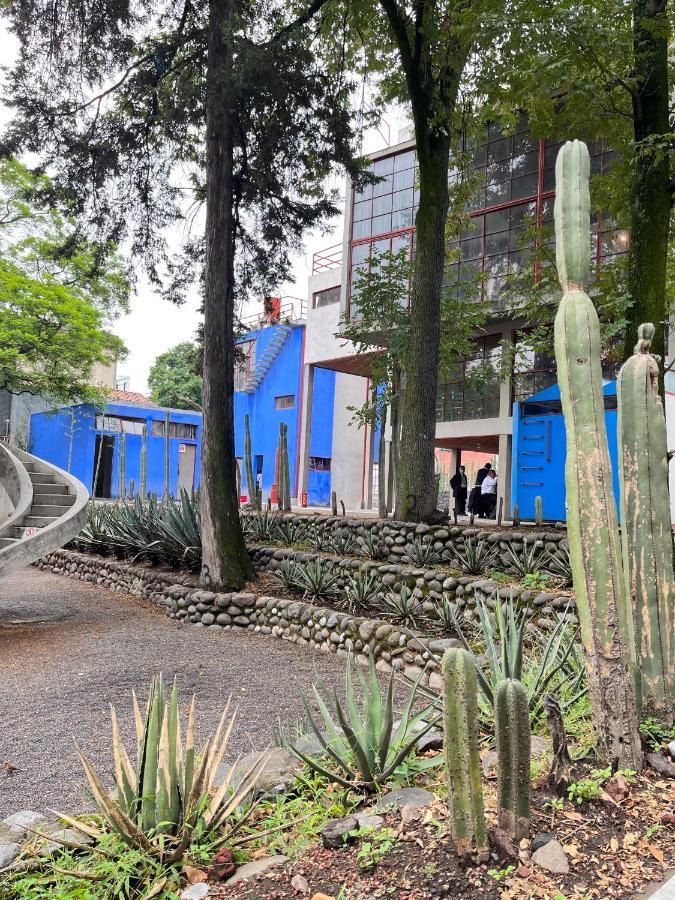 Villa Mi Refugio San Angel Mexiko-Stadt Exterior foto